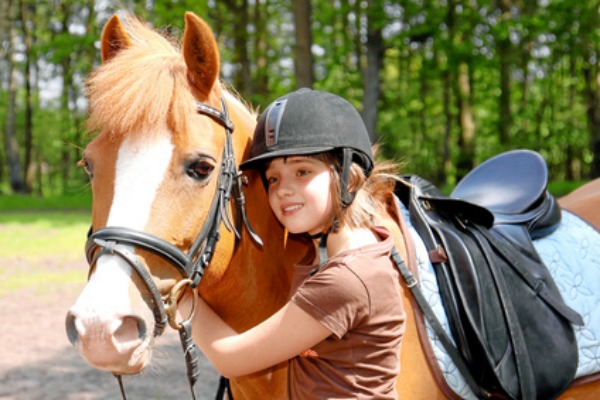 appartement-et-gite-cheval